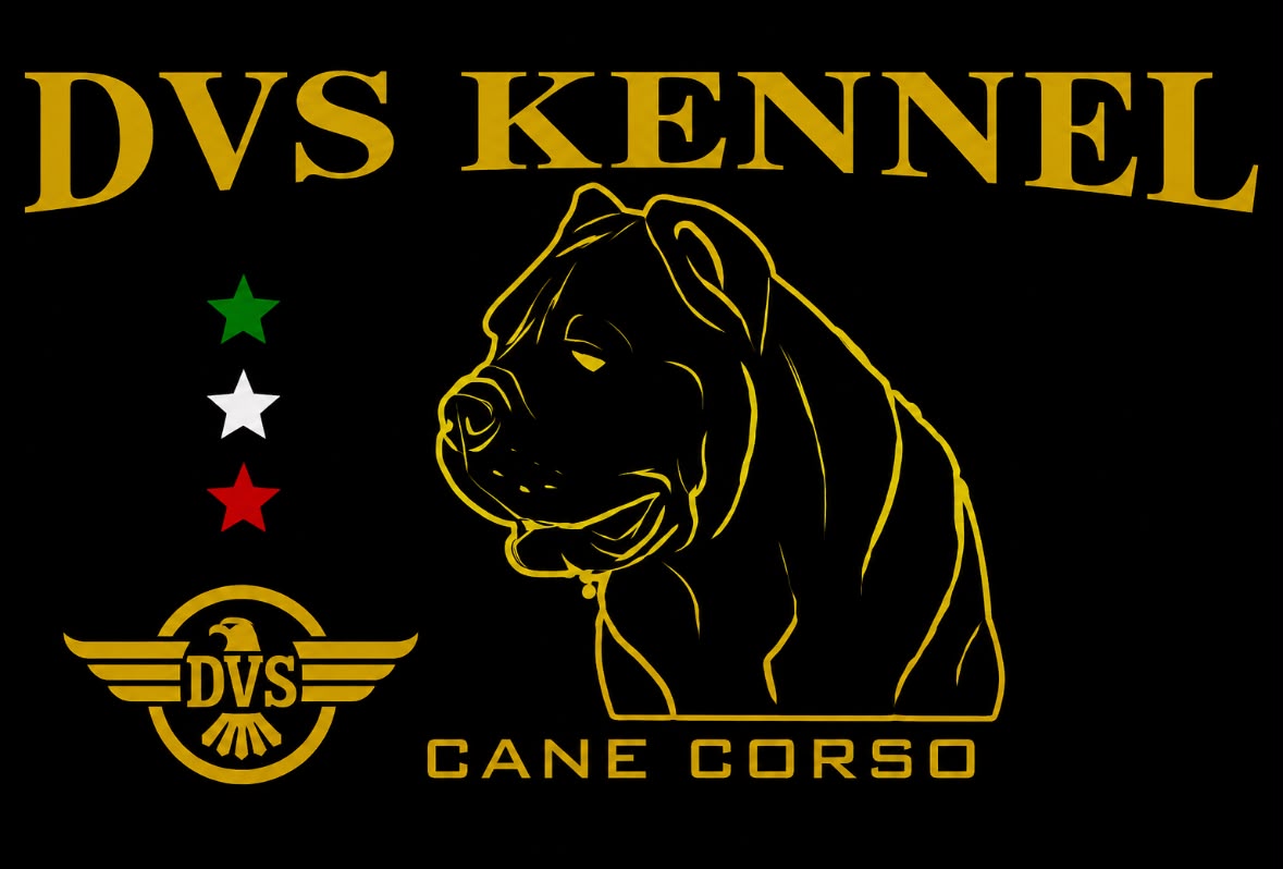 DVS Kennel - Allevamento Cane Corso